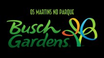 Os Martins no parque Busch Gardens em Tampa - EMVB - Emerson Martins Video Blog 2016