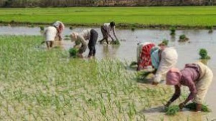 Watch | Farmer transforms son's bicycle into plough for farming in Tamil Nadu
