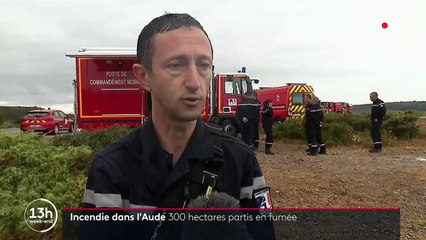 Incendie de l'Aude : 300 hectares de végétation partis en fumée