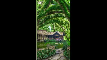 Relax Time..!! Video Dan Musik Penghilang Stress Dan Lelah || Cocok sebagai Teman Tidur