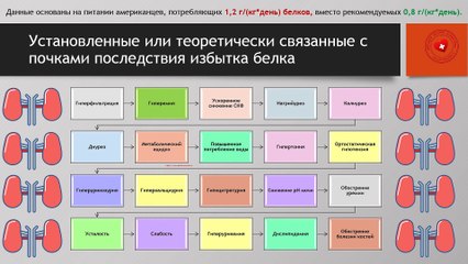 Вредно ли есть много белков?