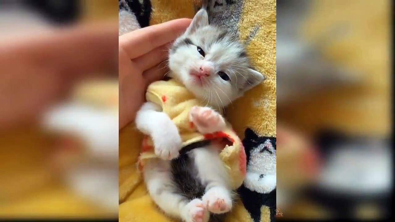 Kaissa Funny Video. Please Like, And Subscribe Me.I Am New Youtuber.