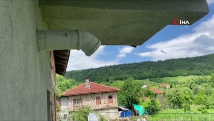 Aspiratör bacasına yavru kuşlar için 2 haftadır aspiratörünü çalıştırmıyor