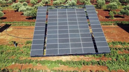 الطاقة الشمسية في شمال غرب سوريا لري المزروعات ودعم المستشفيات