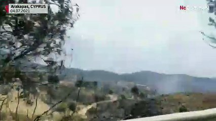 Incendies à Chypre : l'une des pires catastrophes de l'histoire récente de l'île