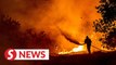 Four killed as Cyprus battles 'Most Devastating Fires'