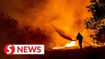 Four killed as Cyprus battles 'Most Devastating Fires'