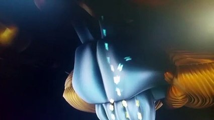 28 . LE PLEXUS SOLAIRE ET SES IRRADIATIONS VERS LE CERVELET VOIR VIDEO 22