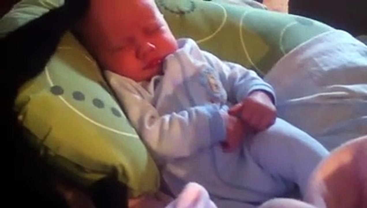 Bebek bakıcısı kedi