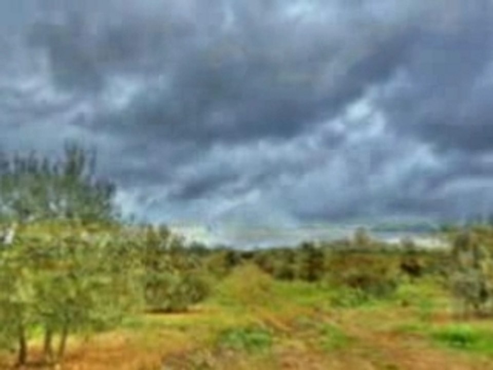 caprichos de colores (Andalucia)