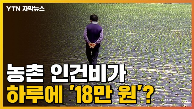 [자막뉴스] '18만 원' 까지 치솟은 일당...비상 걸린 농촌 상황 / YTN