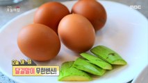 [HOT] The Infinite Transformation of Rolled Omelet!, 생방송 오늘 아침 210705