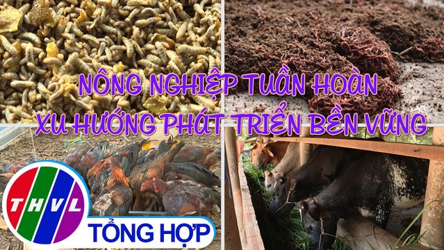 Nông nghiệp bền vững: Nông nghiệp tuần hoàn - xu hướng phát triển bền vững