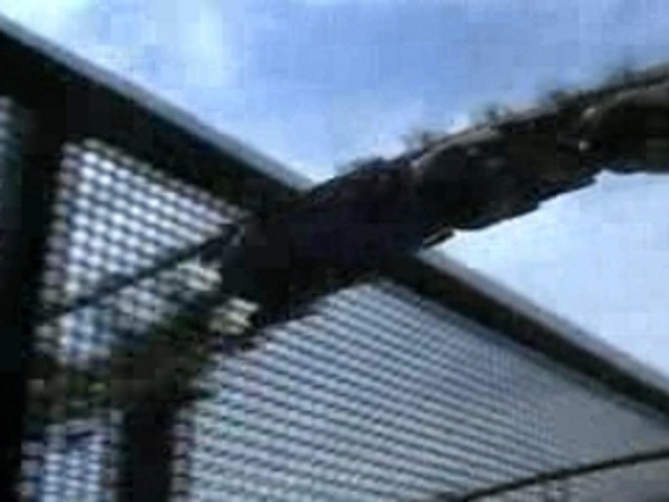 ALTON TOWERS montagne russe looping  roller coaster