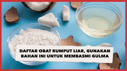 Daftar Obat Rumput Liar, Gunakan Bahan Ini untuk Membasmi Gulma