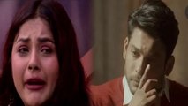 Shehnaz Gill और Siddharth Shukla  का टूटा रिश्ता, आ गई दोस्ती में दरार | Sidnaaz  | FilmiBeat