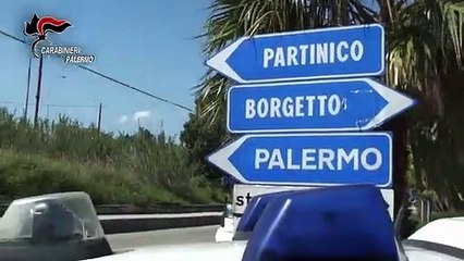 “Sono cani senza padrone”, le intercettazioni del maxi blitz antimafia