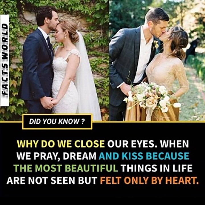Did You Know Facts | 18  The Amazing Facts You Should Know  Facts World 
