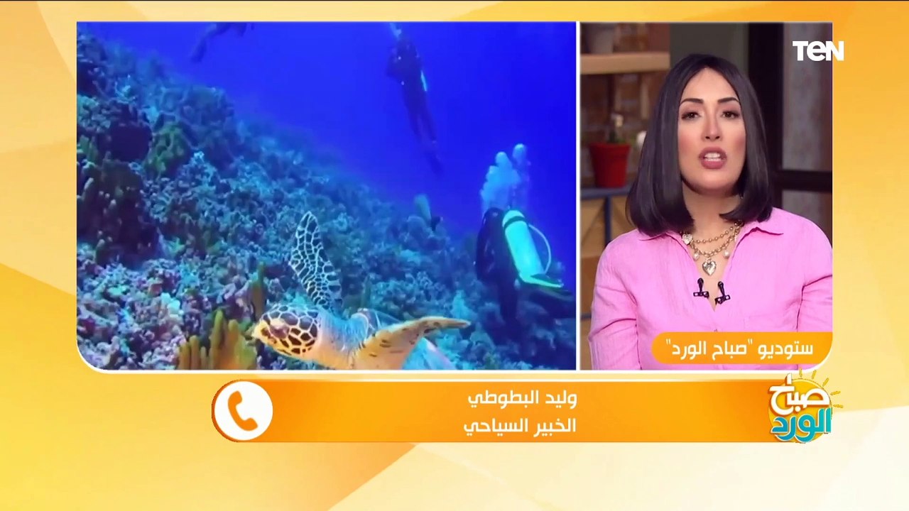 أمن على نفسك ضد كورونا.. قبل ما تسافر لازم تاخد الخطوة دي