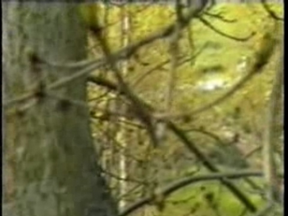 les 12h de marche 1991 : 1ere partie