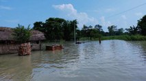 Bihar Flood: Wall of village health center drowned in water