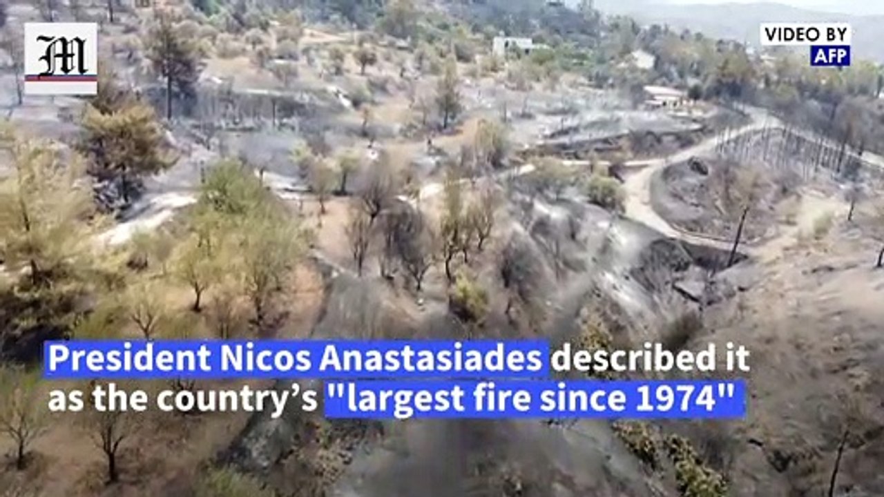 Cyprus suffers worst forest fire in decades