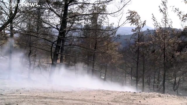 Лесной пожар на Кипре удалось взять под контроль