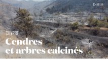 Les vues aériennes des ravages du pire incendie à Chypre depuis des décennies