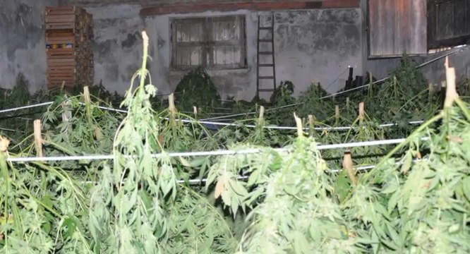 Blitz antimafia a Partinico: 85 arresti, collegamenti con il clan Casamonica (05.07.21)