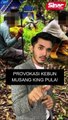 Provokasi kebun musang king pula!