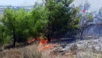 Antalya'da makilik alanda yangın