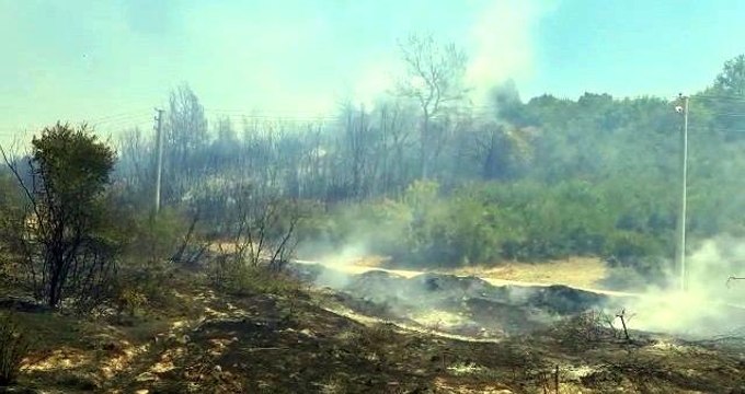 Antalya'da makilik alanda yangın