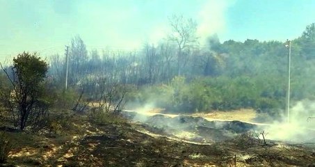 Antalya'da makilik alanda yangın