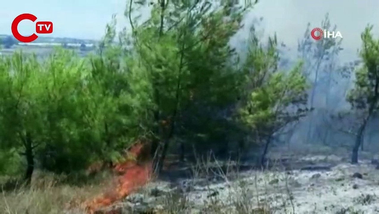 Antalya'da makilik alanda yangın