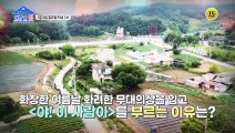 면역력도 잡은 김보화의 건강 비결_건강한 집 48회 예고 TV CHOSUN 210705 방송