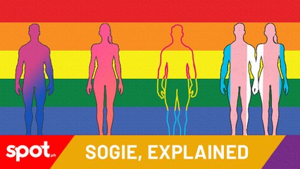Understanding SOGIE and Pride Terms 🌈