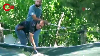 Bodrum'da iguana alarmı 73 yaşındaki kadının evine girdi