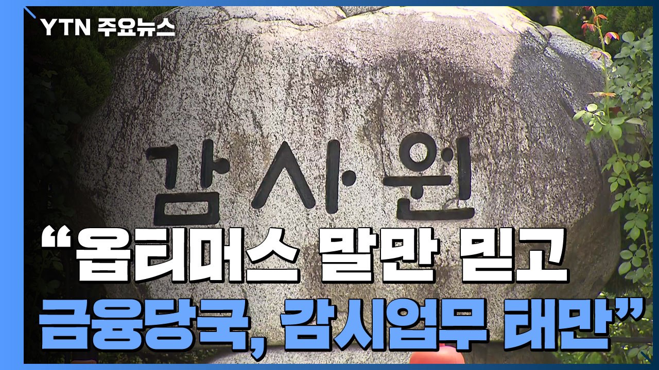 감사원 "금융당국, 옵티머스 말만 믿고 감시업무 태만" / YTN