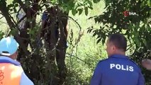 Bursa'da bebek cesedi şoku! Ağacın altında bulundu