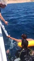 حوار بين جلالة الملك ومواطن في البحر