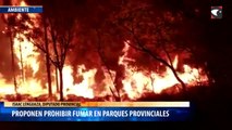 Proponen prohibir fumar en Parques Provinciales