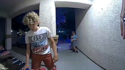 Grasshopper Gives Out Karma for Being Scared Away