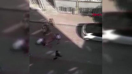 Son dakika haberleri! FATİH'TE AFGANİSTAN UYRUKLU KİŞİLERİN TARTIŞMASI KANLI BİTTİ 2 ÖLÜ, 1 YARALI