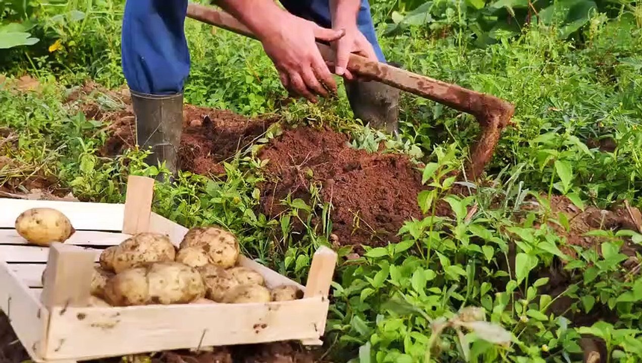 Cultural Ecology: Agrarian Societies Mode of Production