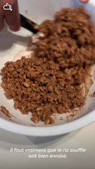 529506 - TO Tarte-bûche au chocolat praliné