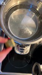 528736 - TO Soupe aux légumes d'automne dans son potimarron