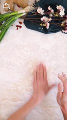 Véritables raviolis japonais de A à Z (Gyoza) vertical