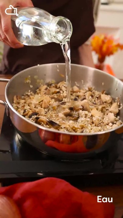 Risotto poulet, champignon vertical