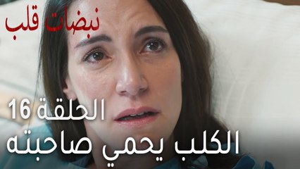 نبضات القلب الحلقة 16 - الكلب يحمي صاحبته