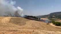 Son dakika haber | Ormanlık alana sıçrayan yangın kontrol altına alındı